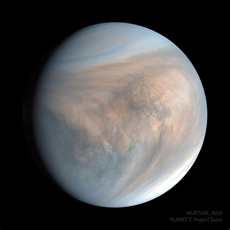 venus 2023 xxx|Venus Valencia